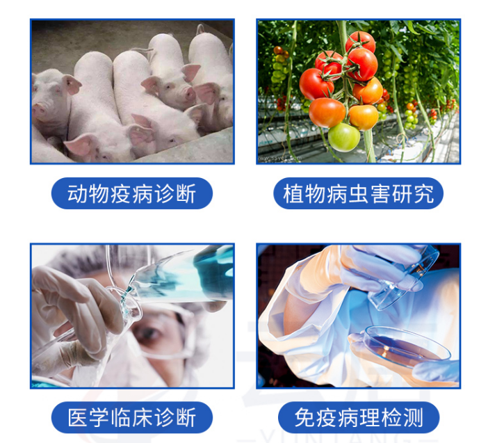 動物疫病檢測儀的檢測范圍有哪些？