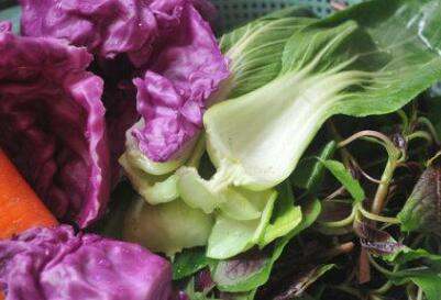 農產品快速檢測設備