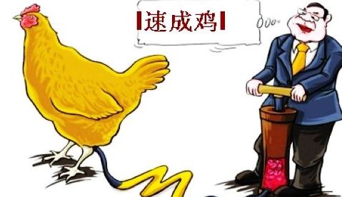 為什么會有獸藥殘留？