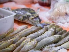 南昌市開展2019年水產(chǎn)品獸藥殘留專項(xiàng)整治行動(dòng)