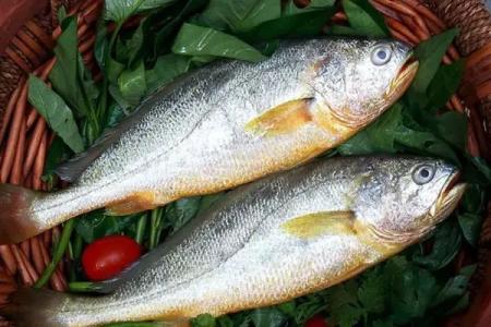 黑魚中檢測(cè)出孔雀石綠超標(biāo)，黃魚中檢測(cè)出氧氟沙星超標(biāo)