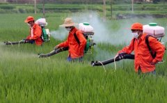 農(nóng)藥殘留檢測儀檢測速度快嗎？