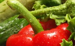 農(nóng)殘快速檢測儀切實(shí)保障有機(jī)蔬菜安全