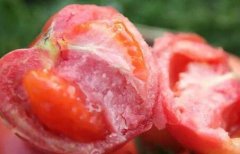 為何建議超市配備食品安全檢測儀？