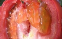 農(nóng)殘快速檢測儀如何做到保障農(nóng)產(chǎn)品安全的？